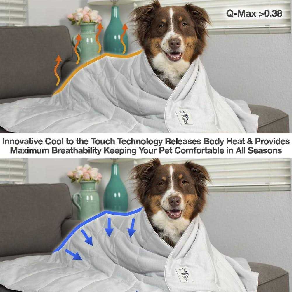 Lightweight Cat and Dog Cooling Blanket X70899