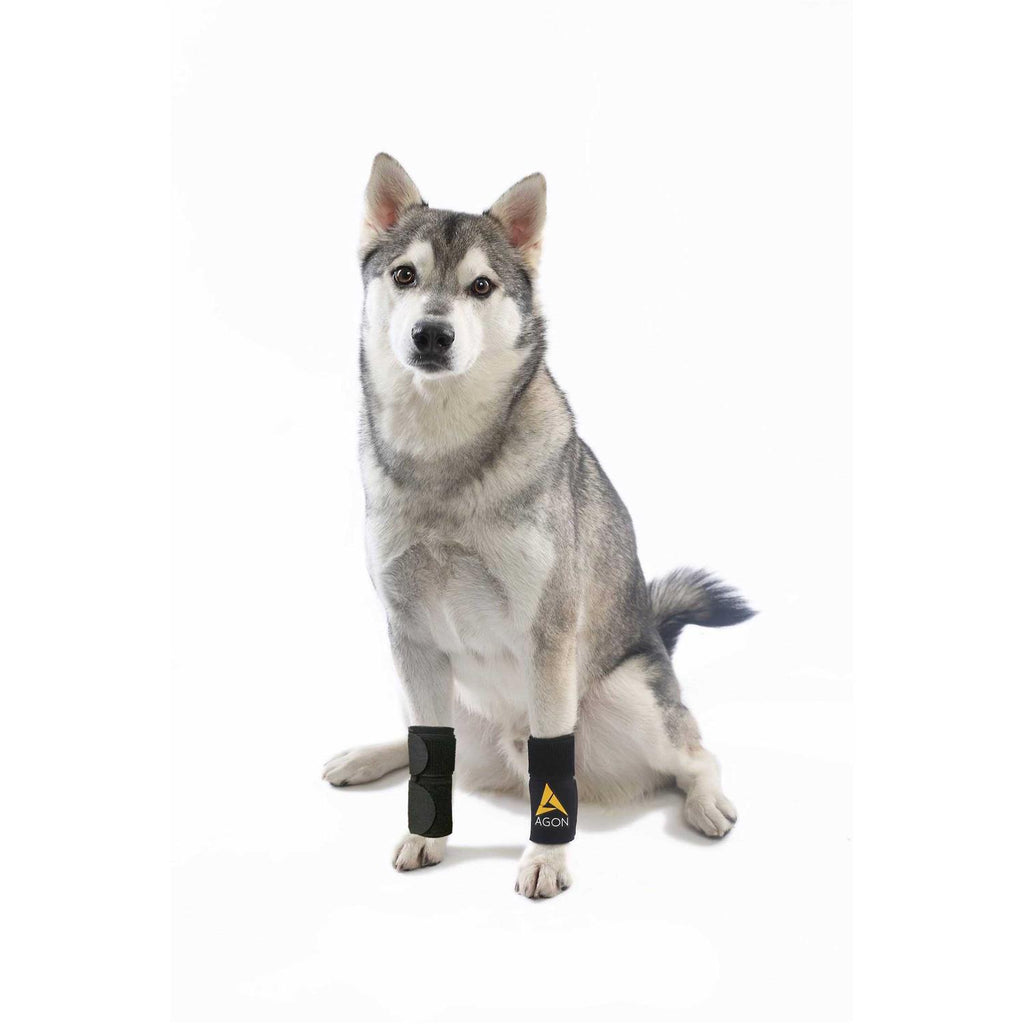 Dog Front Leg Brace Paw Compression Wraps N8203