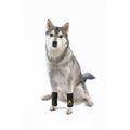 Dog Front Leg Brace Paw Compression Wraps N8203