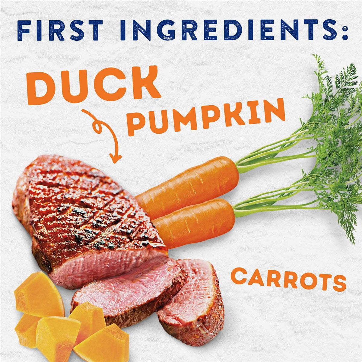 Savory Duck & Pumpkin Recipe Wet Dog Food O36859