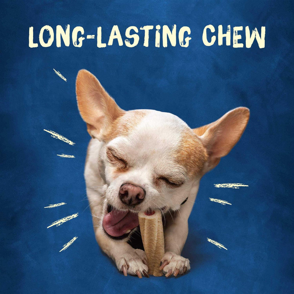Tiny Dog Treats F3713