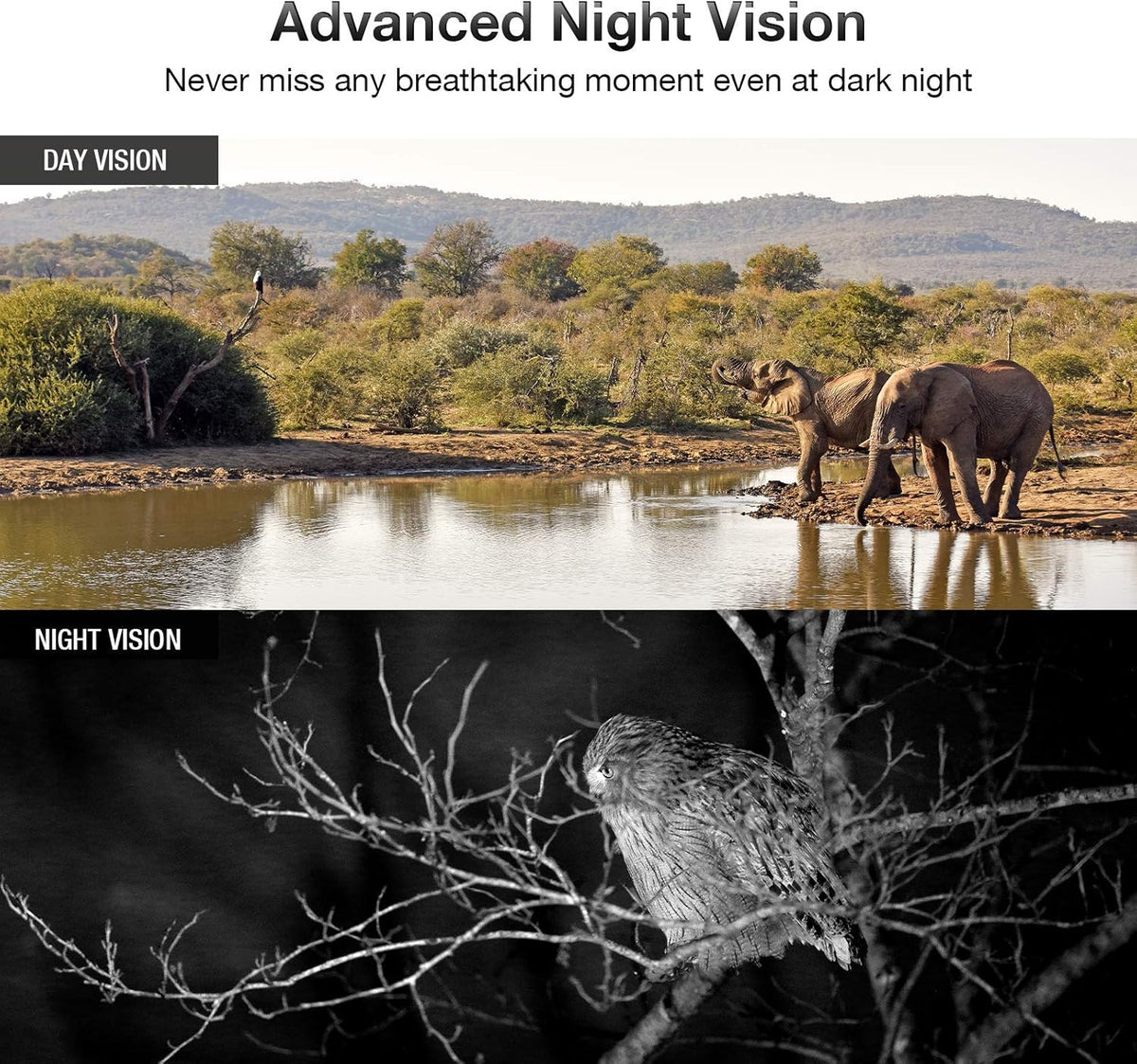 4K 24MP Night Vision 82ft Motion Activated IP66 Waterproof Trail Camera K869156