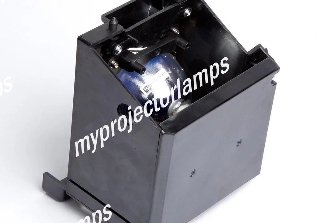 Projector Lamp with Module X490447
