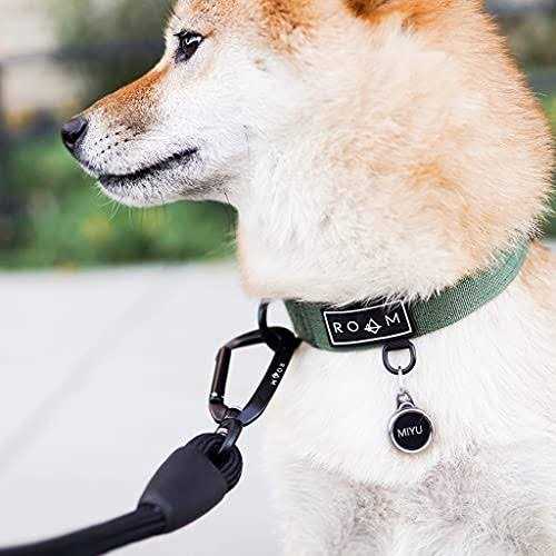 Ultra Soft Dog Leash with Carabiner R976467