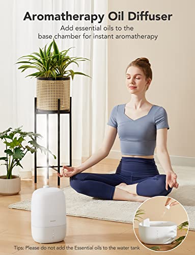 3L Cool Mist Humidifier with Essential Oil Diffuser T8083