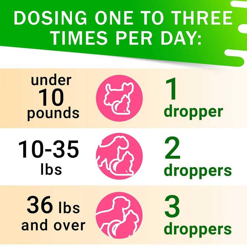 Kennel Cough Drops for Dogs and Cats 2oz Q92884