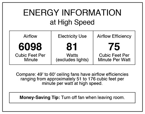 Oil Rubbed Bronze Ceiling Fan with Light Kit Y5226
