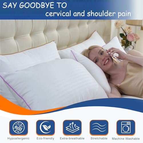 King Size Set of 2 Breathable Down Alternative Microfiber Pillows R369