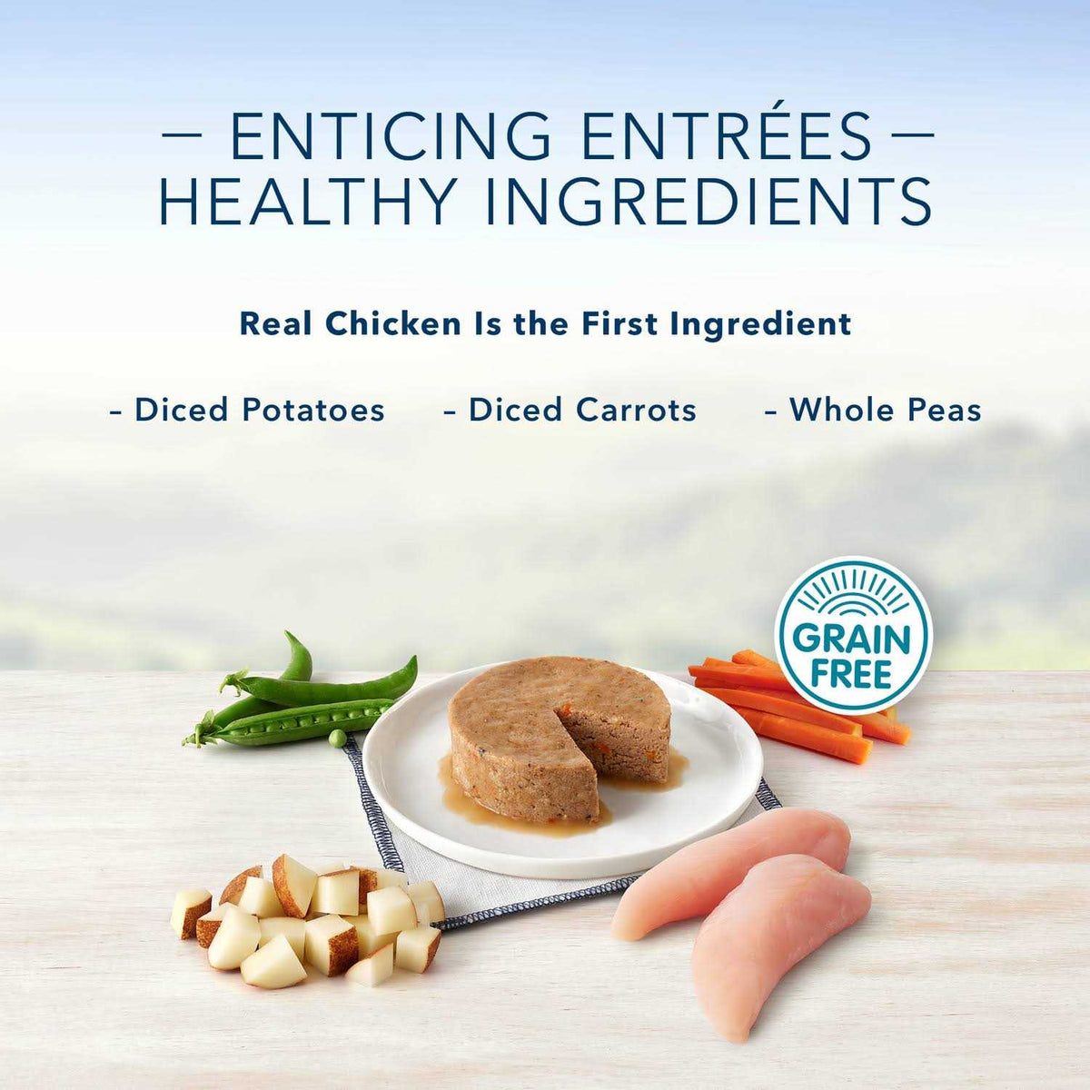Chicken Flavor Pate Small Breed Dog Food C5562