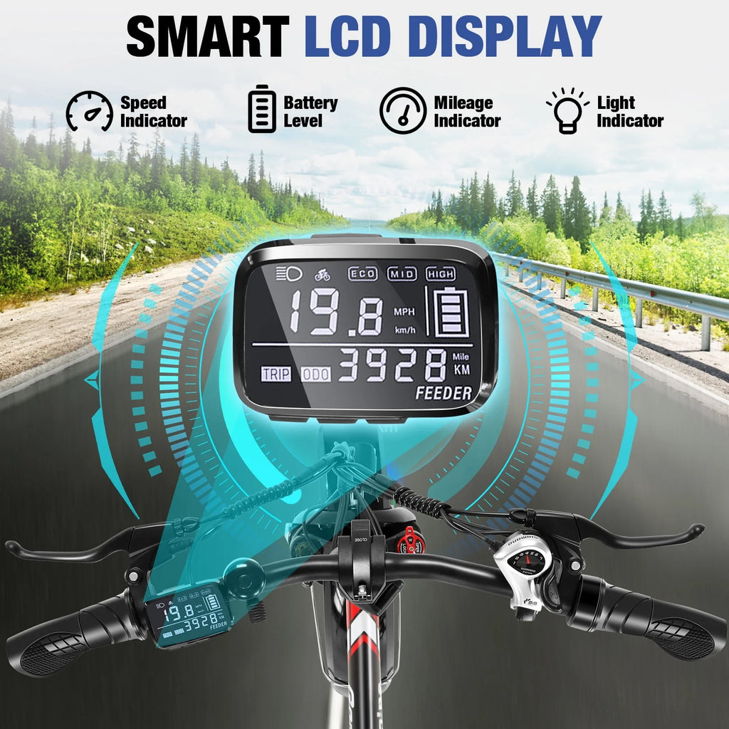 Fat Tire Folding Electric Bike with LCD Display W632