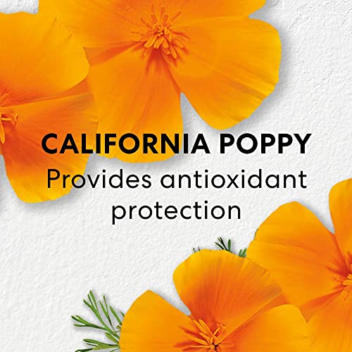 Face Serum Infused with Niacinamide P6844