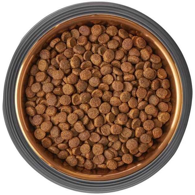 Matte Black Stainless Steel Dog & Cat Bowl T5439