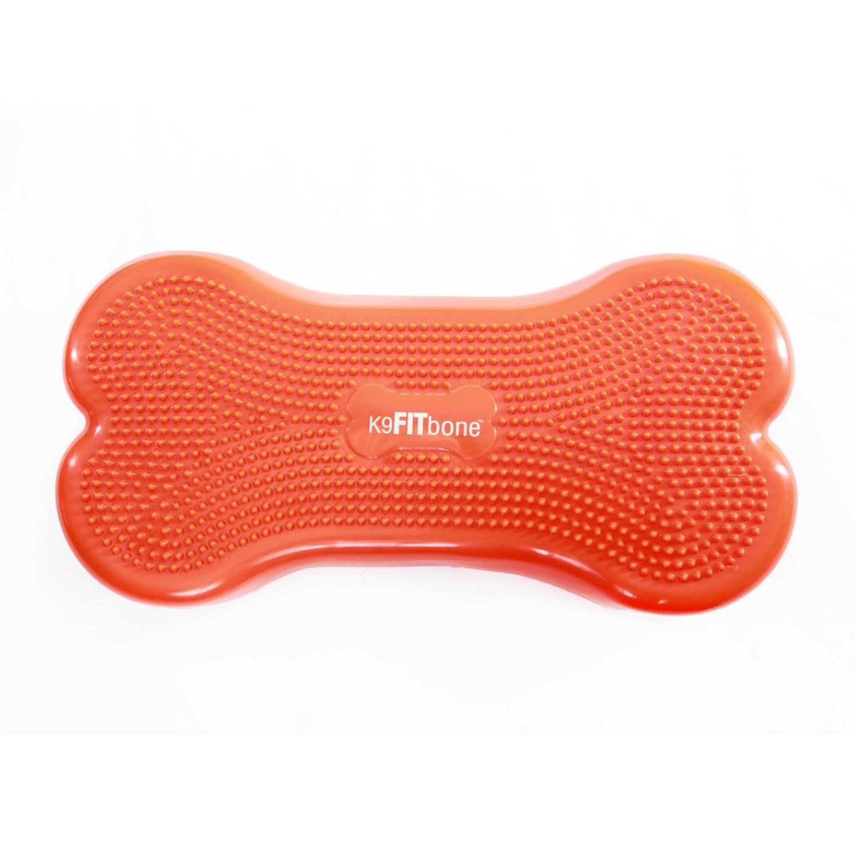 Agility Training Pet Supplies P3002