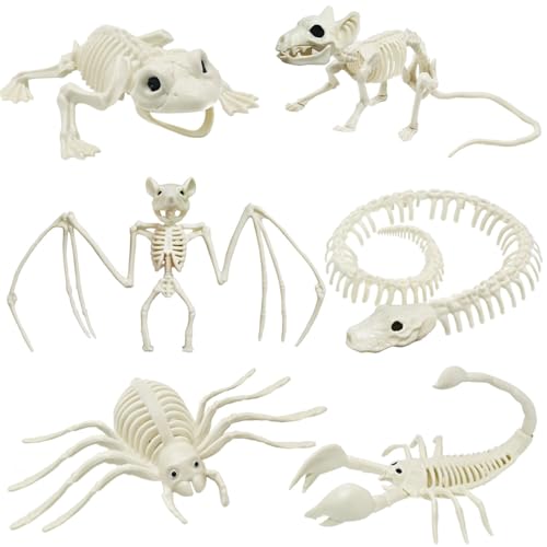 5.4ft/165cm Life Size Skeleton with Movable Joints Z9584