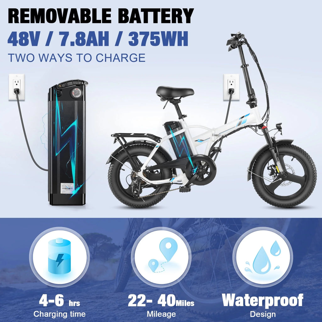 Fat Tire Folding Electric Bike with LCD Display W632