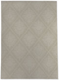 Tan Area Rug J174554